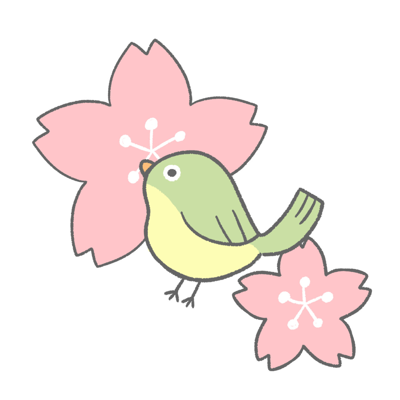 さくら