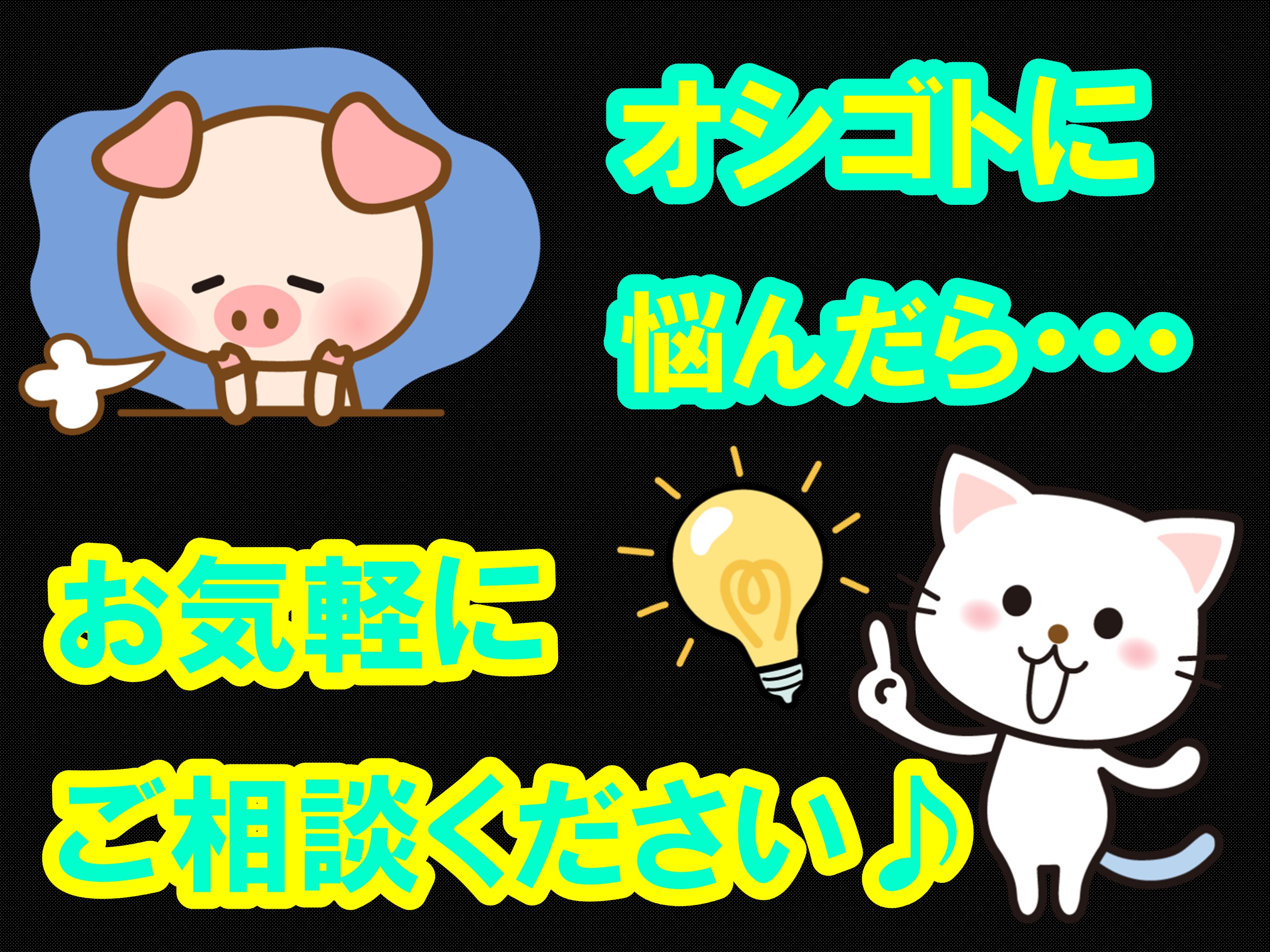 株式会社ホットスタッフ豊橋(愛知県豊橋市/二川駅/梱包・検品・仕分・商品管理)_3