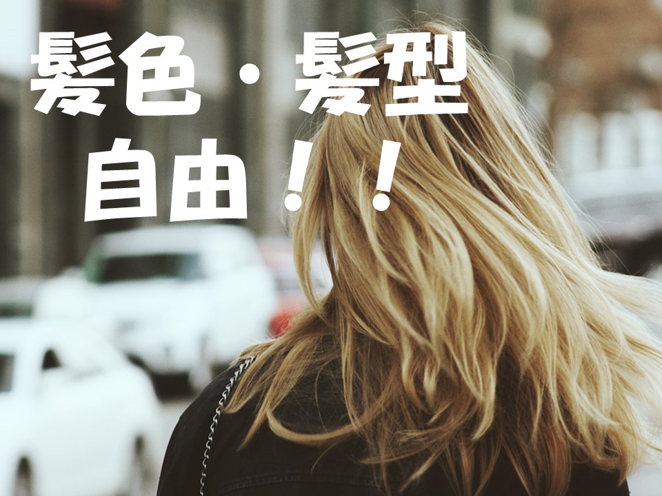 株式会社ホットスタッフ奈良南(奈良県御所市/大和新庄駅/事務・データ入力・受付)_3