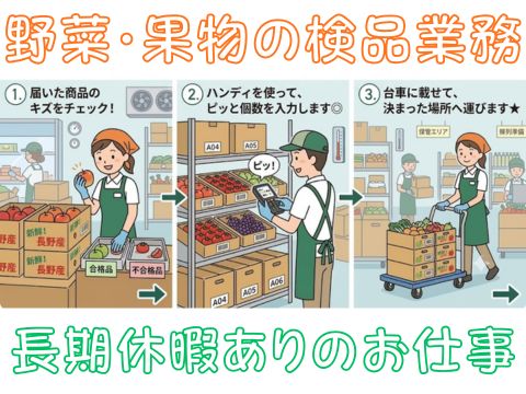 株式会社ホットスタッフ新宮-HSC78404