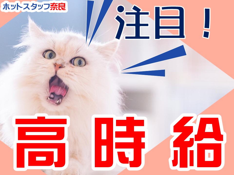 株式会社ホットスタッフ奈良(奈良県奈良市/総務・人事・経理・秘書)_4