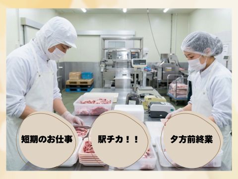 株式会社ホットスタッフ新宮-HSC78404