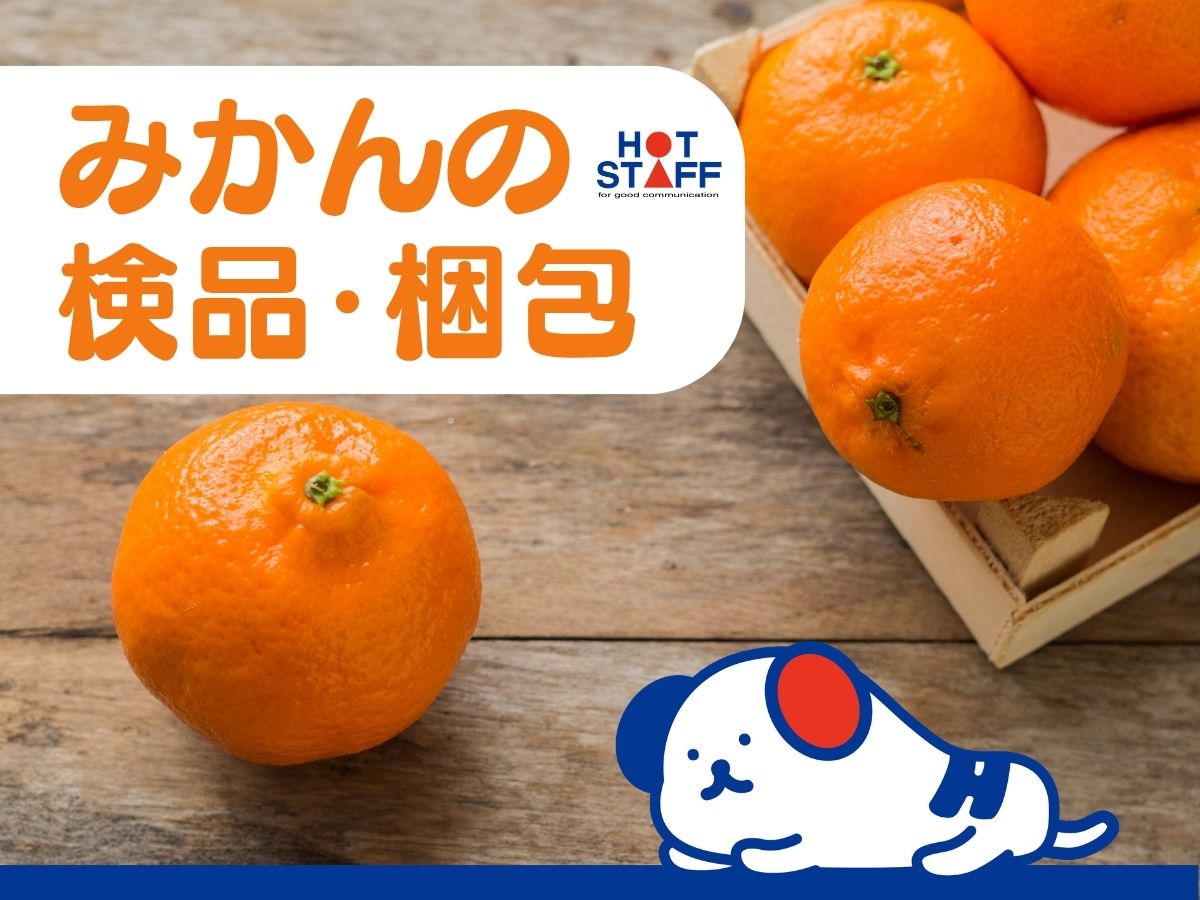 株式会社ホットスタッフ安芸-HSC78344