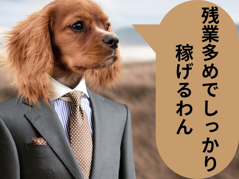 株式会社ホットスタッフ豊川(愛知県新城市/東上駅/構内作業・フォークリフト)_3
