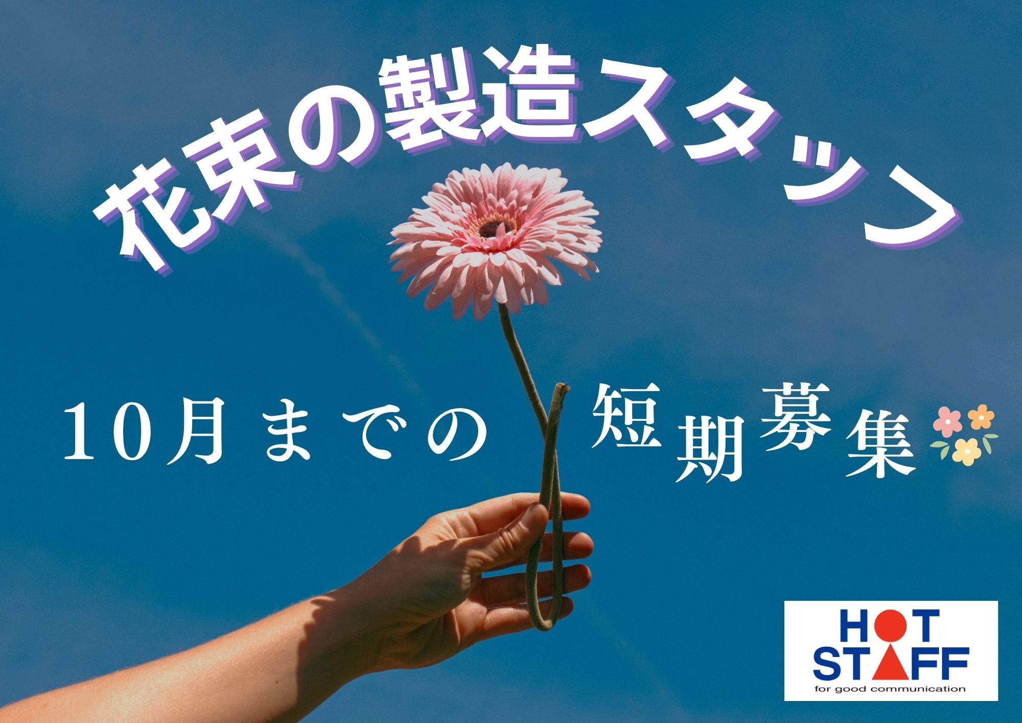 株式会社ホットスタッフ成田-HSR90123