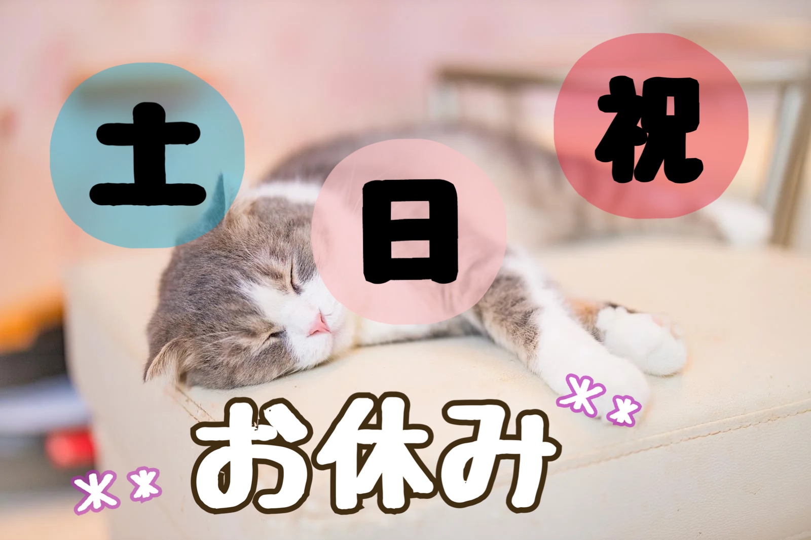 株式会社ホットスタッフ徳島(徳島県阿南市/新野駅/総務・人事・経理・秘書)_2