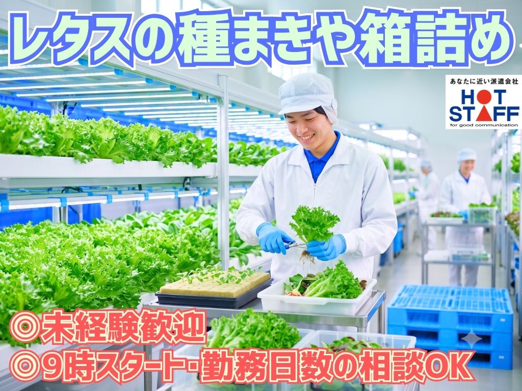 株式会社ホットスタッフ藤枝（焼津市）の女性バイト求人情報