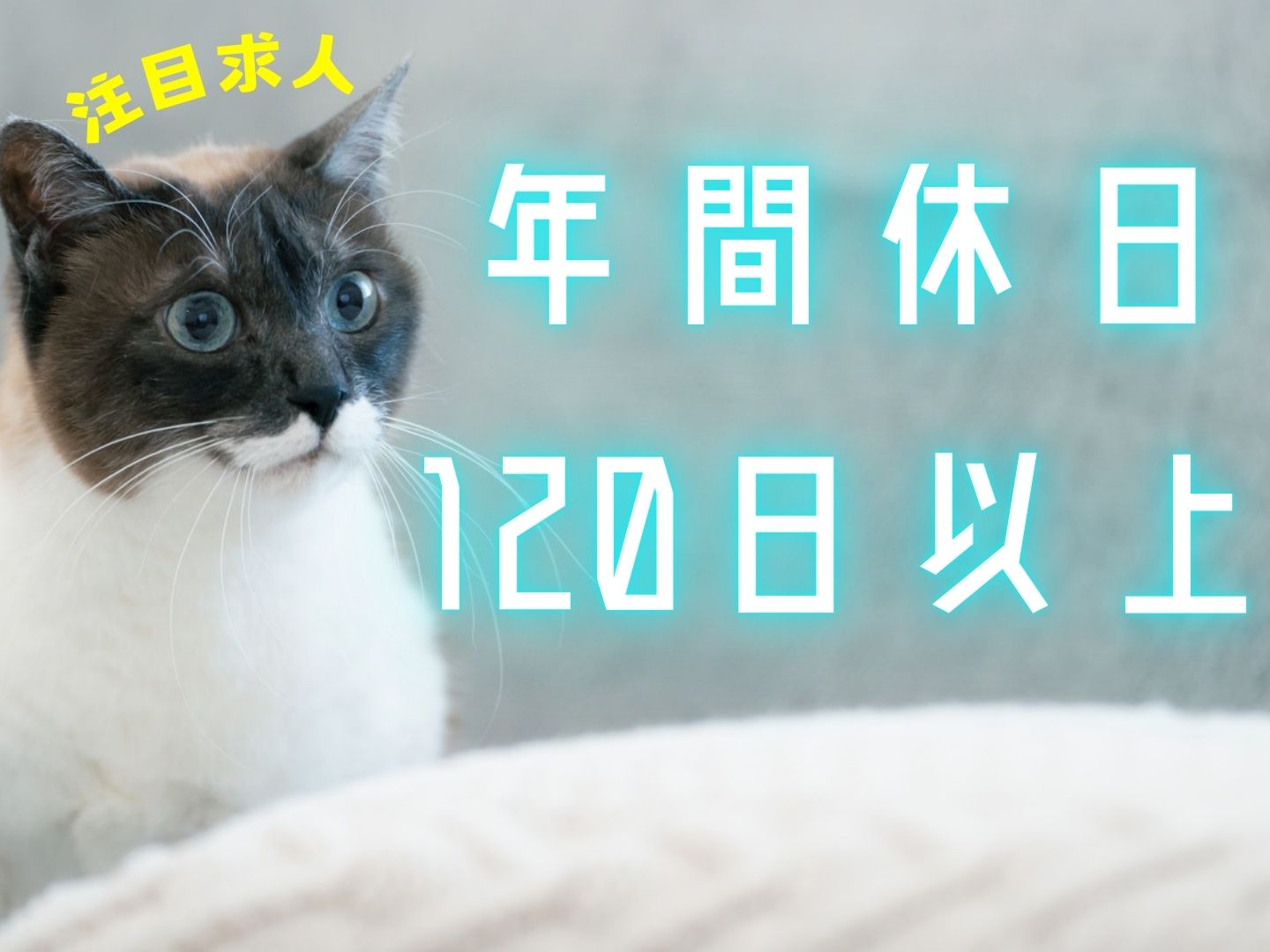 株式会社ホットスタッフ奈良(奈良県生駒市/白庭台駅/製造・加工・組立・整備)_3