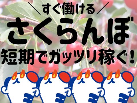 株式会社ホットスタッフ山形