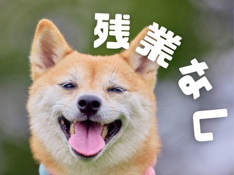 職場の画像