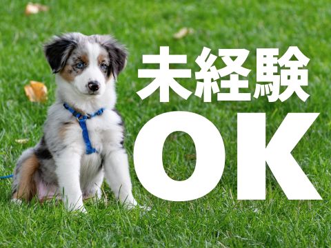 株式会社ホットスタッフ五日市（広島県）の女性バイト求人情報
