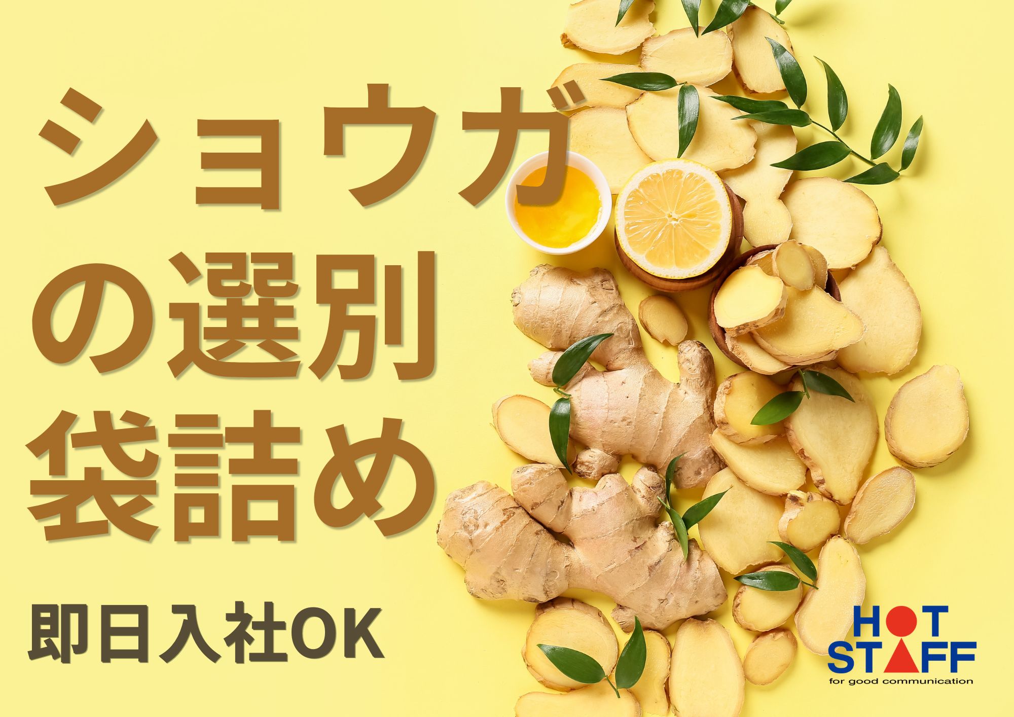株式会社ホットスタッフ成田-HSC78124