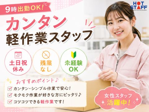 株式会社ホットスタッフ山形-HSC78064