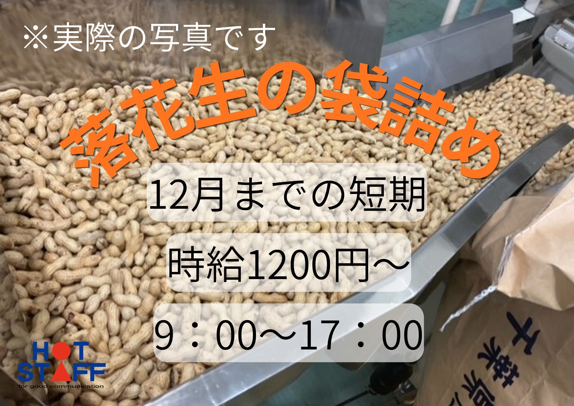 株式会社ホットスタッフ成田-HSC78124