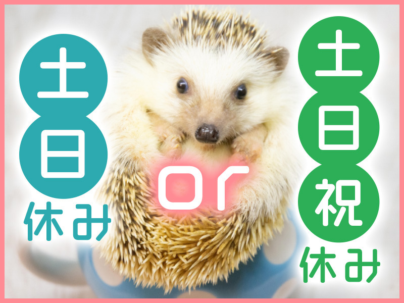 お仕事詳細 Hot犬索 ほっとけんさく