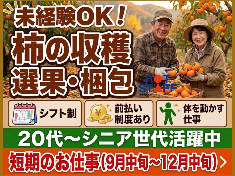 【五條市】＼20～40代活躍中／柿の収穫・選果・梱包業務◇五條市...