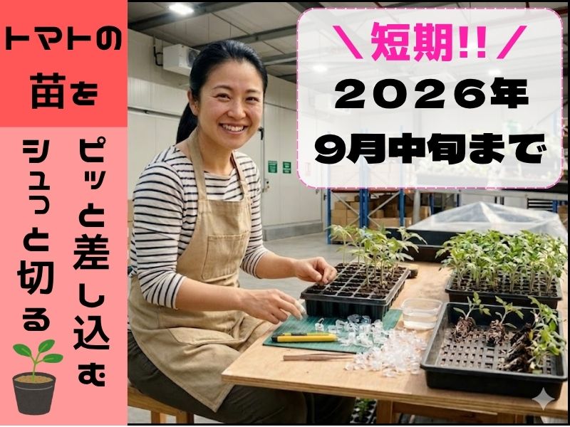 株式会社ホットスタッフ熊本南（熊本県）の女性バイト求人情報