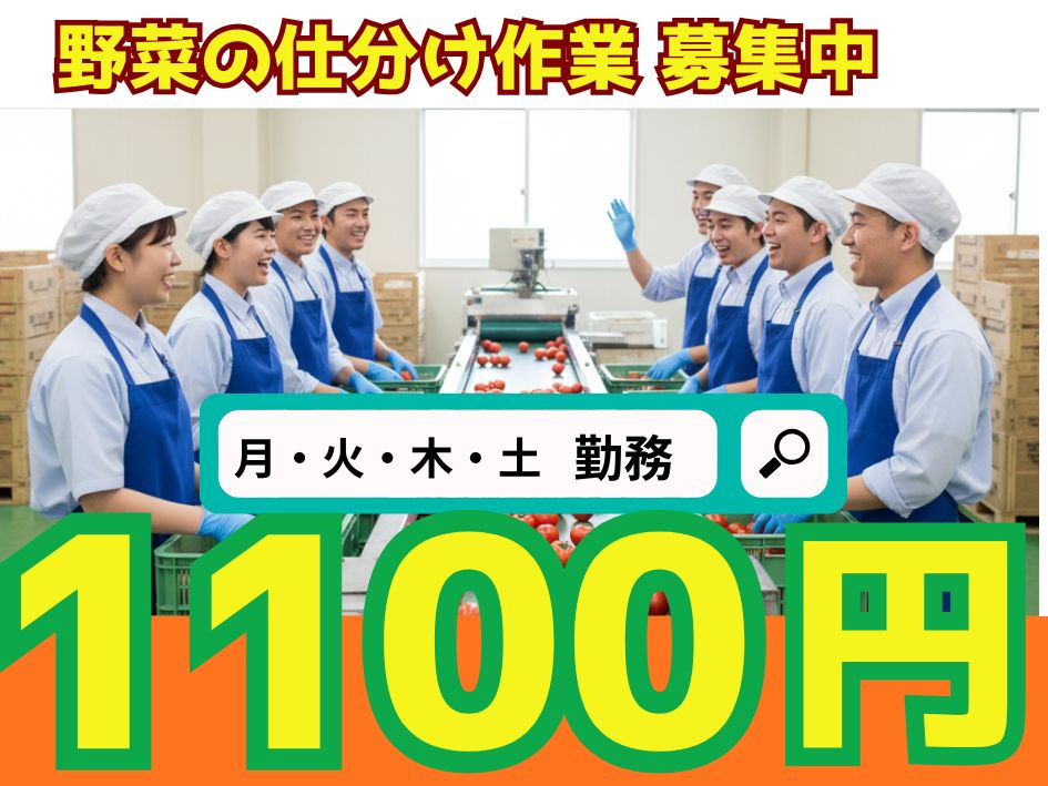 株式会社ホットスタッフ熊本南（熊本県）の女性バイト求人情報