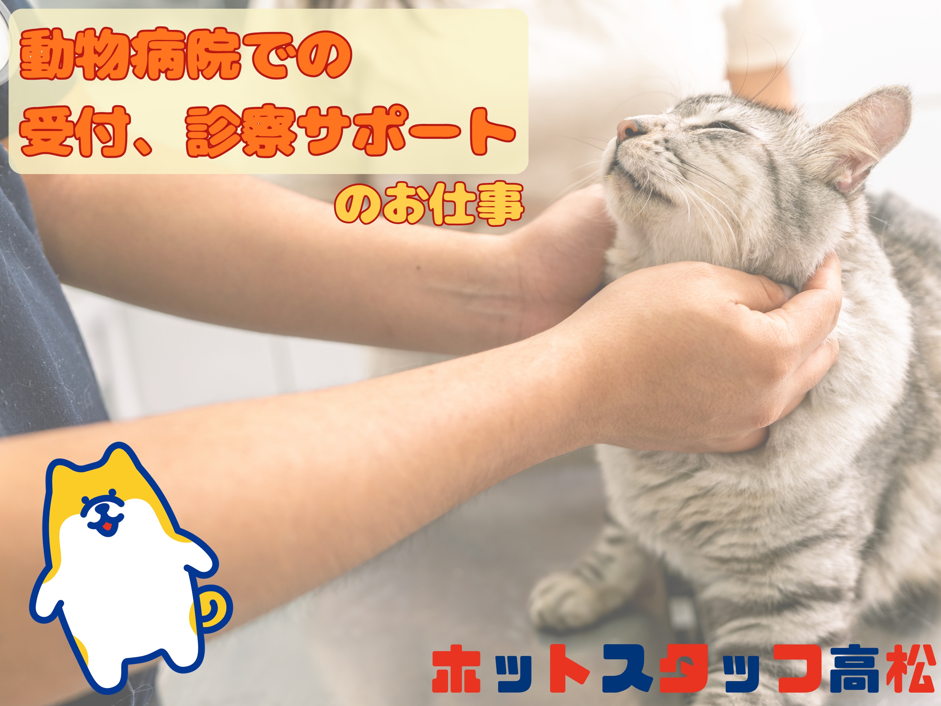 株式会社ホットスタッフ高松（香川県）の女性バイト求人情報