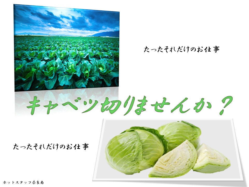 株式会社ホットスタッフ奈良南（奈良県）の女性バイト求人情報
