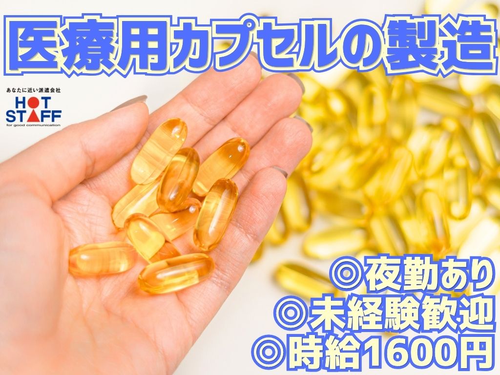 株式会社ホットスタッフ袋井-HSC78224