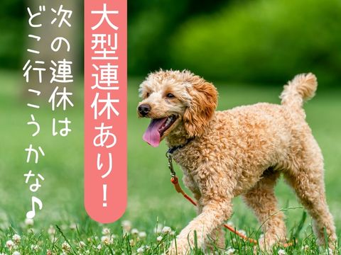 株式会社ホットスタッフ広島（広島市安佐北区）の女性バイト求人情報