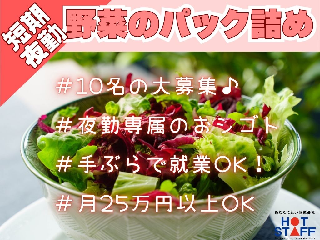株式会社ホットスタッフ袋井の派遣社員の求人画像１